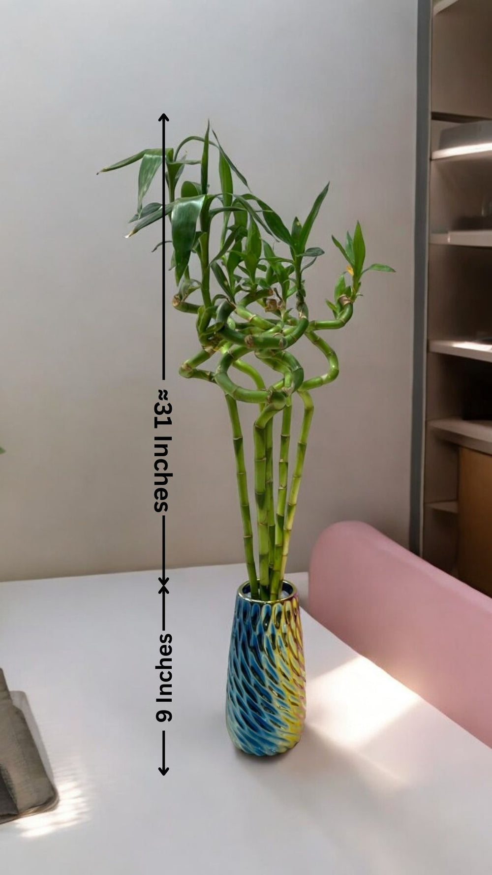 spiral bamboo price In Bangalore 