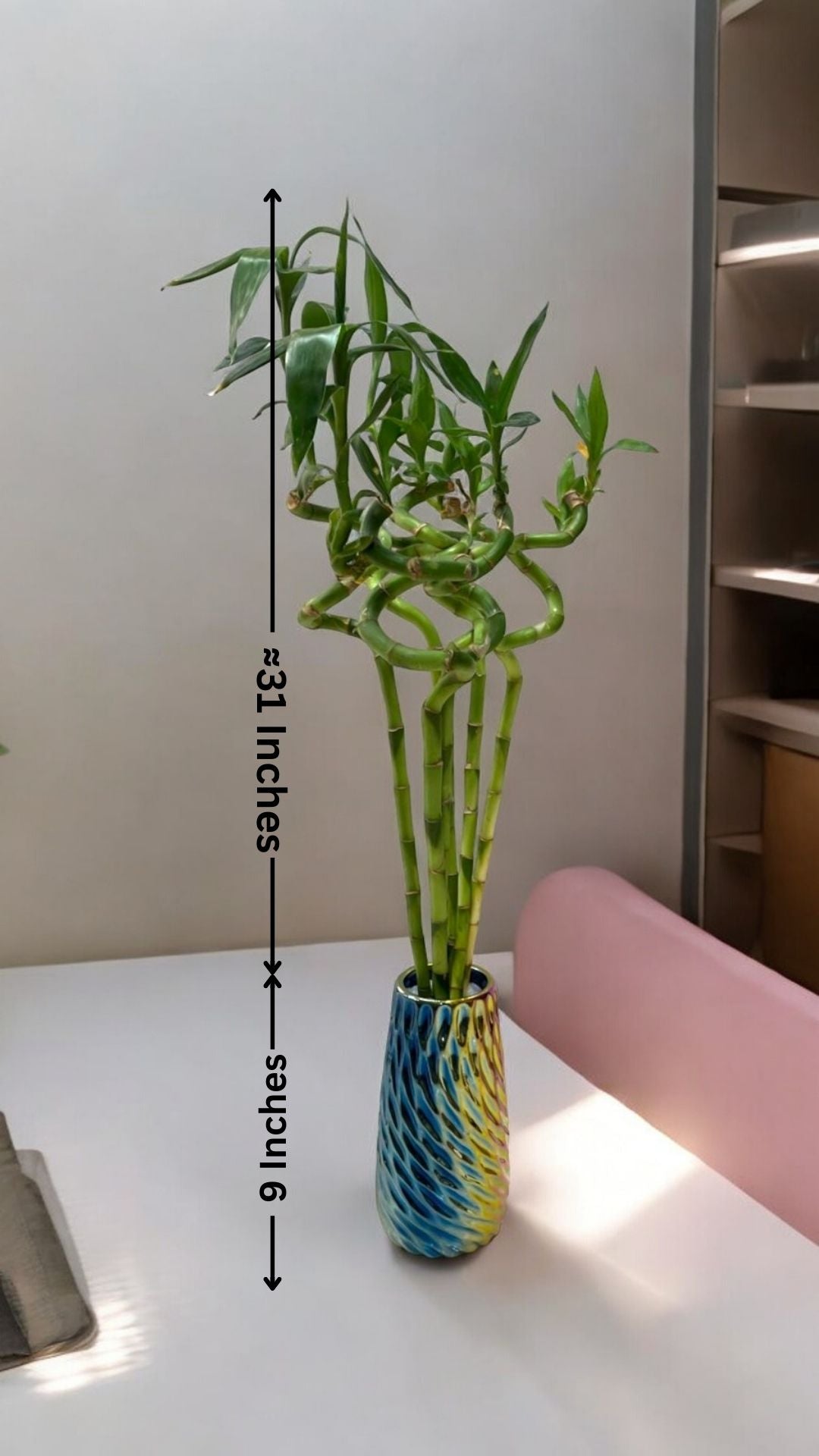 spiral bamboo price In Bangalore 