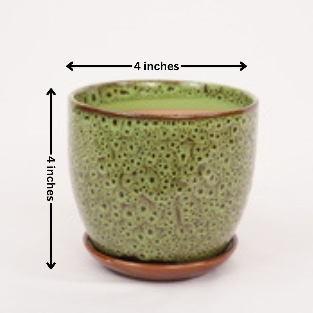 small ceramic pots online in Bangalore 