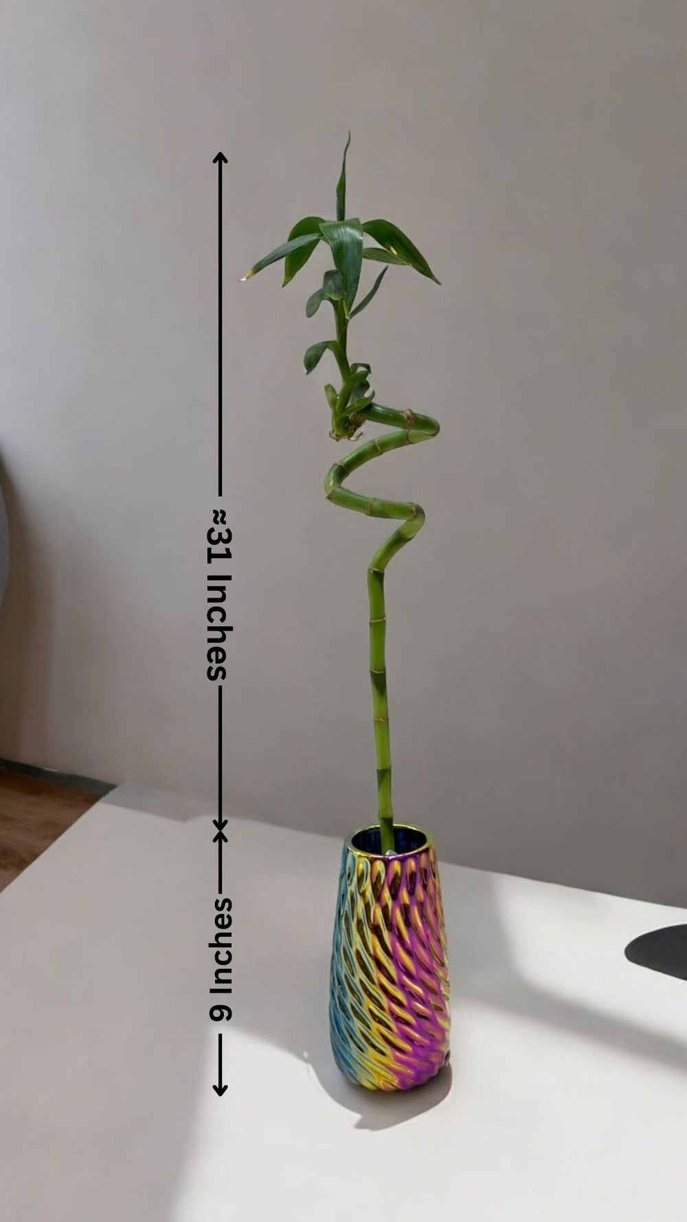how many spiral bamboo stalks are lucky in Bangalore 