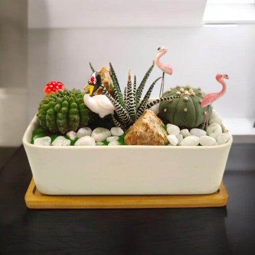 Designer_planter_with_Succulents And Miniatures 2 plants online  in bangalore