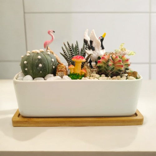 Designer_planter_with_Succulents And Miniatures 7 Near Bangalore