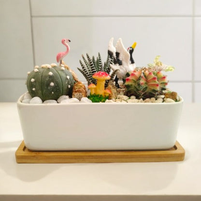 Designer_planter_with_Succulents And Miniatures 7 Near Bangalore