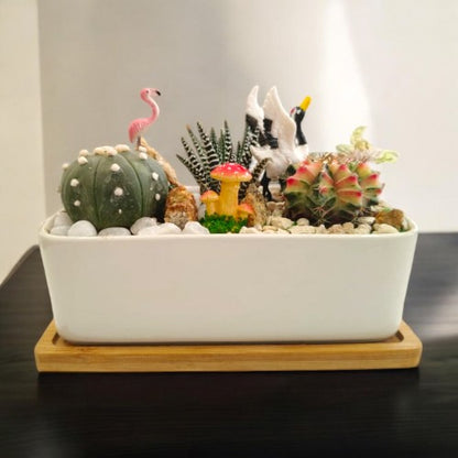 Designer_planter_with_Succulents And Miniatures 8 in Bangalore