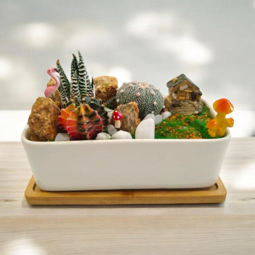 Designer_planter_with_Succulents_and _miniatures 10 in Bangalore 
