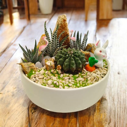 Designer_planter_with_Succulents_and _miniatures 15 in Bangalore 