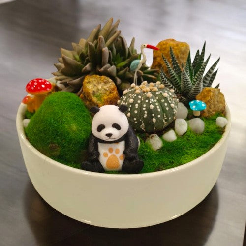 Designer_planter_with_Succulents_and _miniatures 24 in Bangalore 