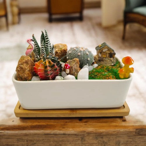 Designer_planter_with_Succulents_and _miniatures 9 in Bangalore 