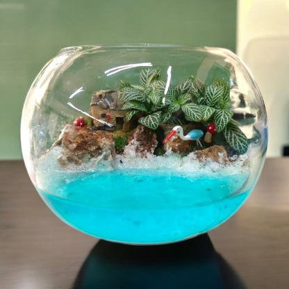  Plant Terrarium in bangalore