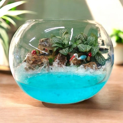 Fittonia plant set with Miniature