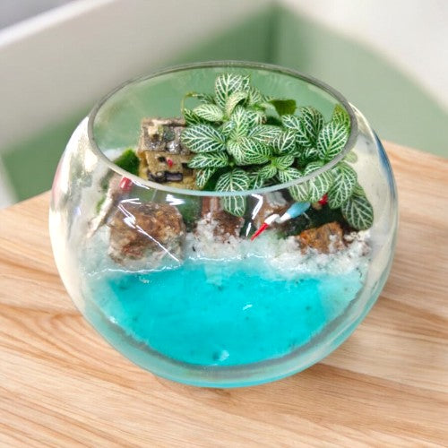 Designer planter with Terrariums and miniatures 3 in Bangalore