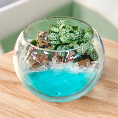 Designer planter with Terrariums and miniatures 3 in Bangalore