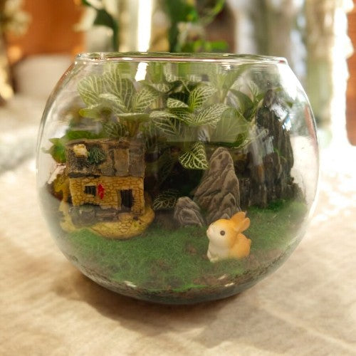 Designer_plants Miniatures_ with_Terrariums  Best Terrariums plants   in Bangalore