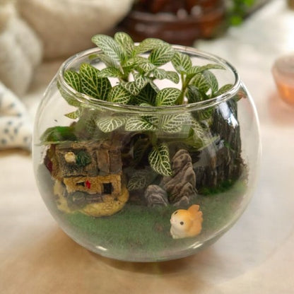 Designer_plants Miniatures_ with_Terrariums 2 succulent plants with terrariums in bangalore