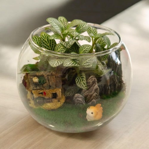 Designer_plants Miniatures_ with_Terrariums 3 house plants in bangalore