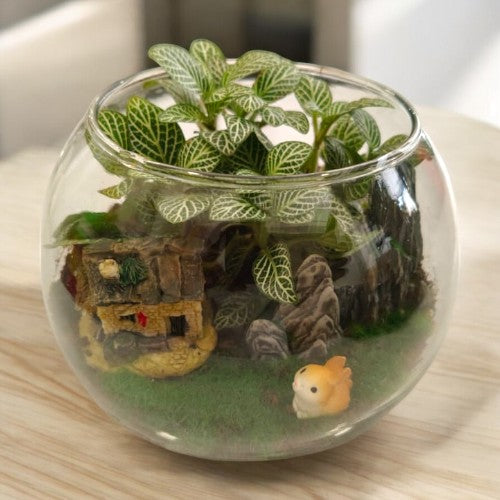 Designer_plants Miniatures_ with_Terrariums 5 carnivorous plants in bangalore