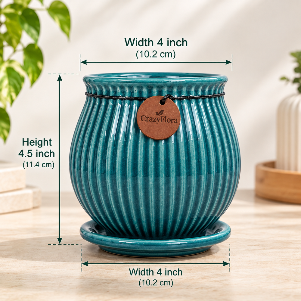 Ribbed Belly Planter - Small in Teal, with matching saucer