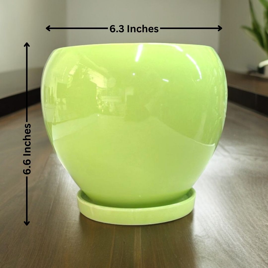 Affordable planters Bangalore