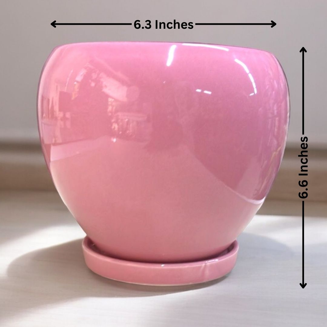Affordable planters Bangalore