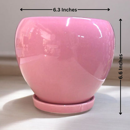 Affordable planters Bangalore