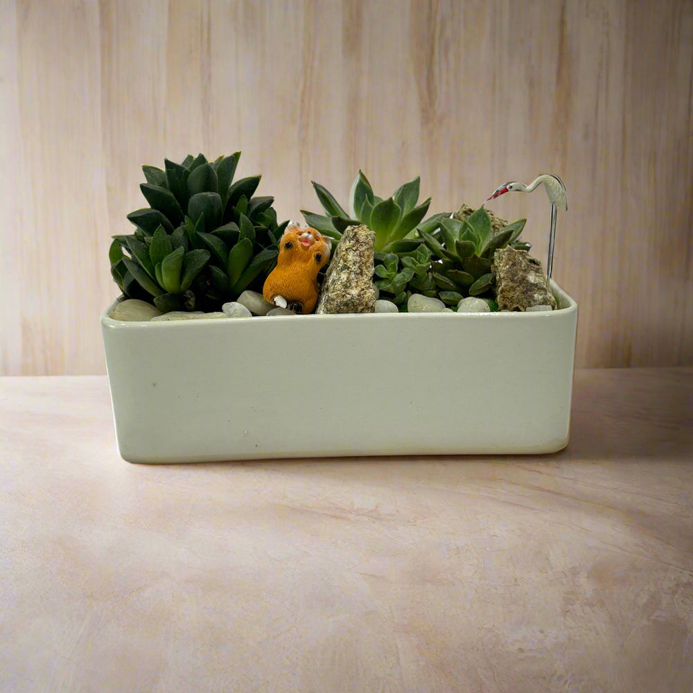 Designer plants