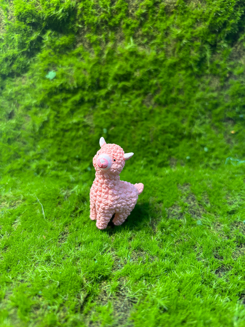 Cute Lamb Miniatures