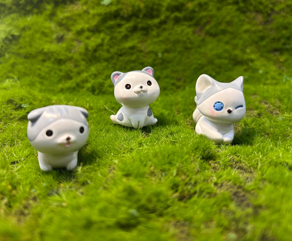 Cute Kitten Miniature