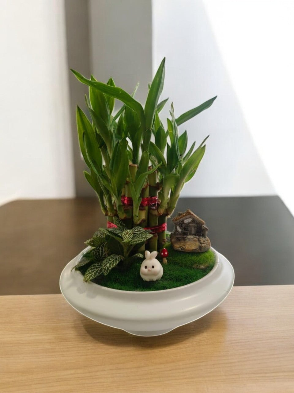 Indoor plants