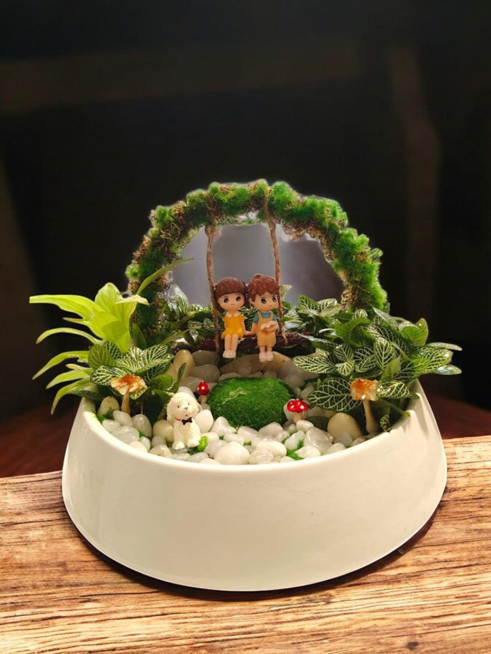 Succulents set with Artificial moss miniature
