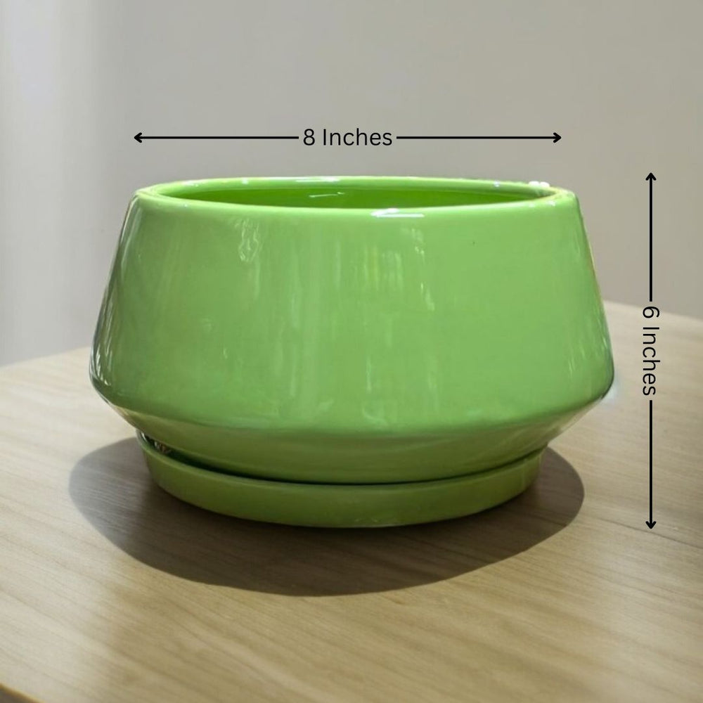 Modern planters Bangalore