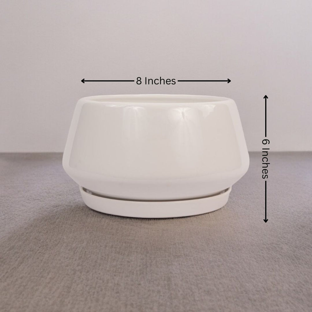 Affordable planters Bangalore