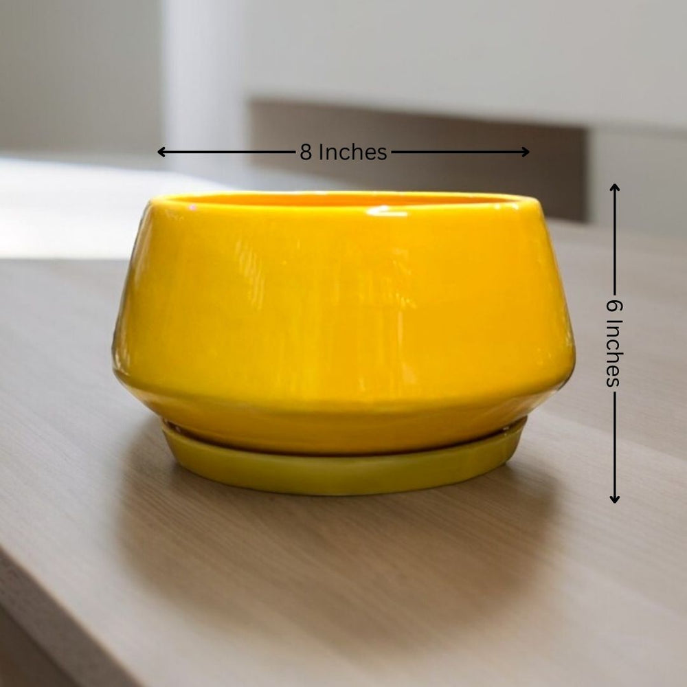 Affordable planters Bangalore