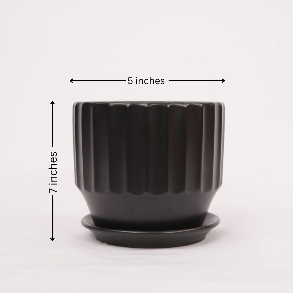 Terracotta planters Bangalore