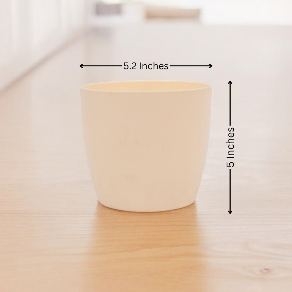 Where to buy planters in Bangalore
