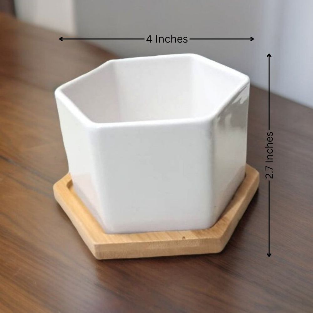 Decorative planters Bangalore