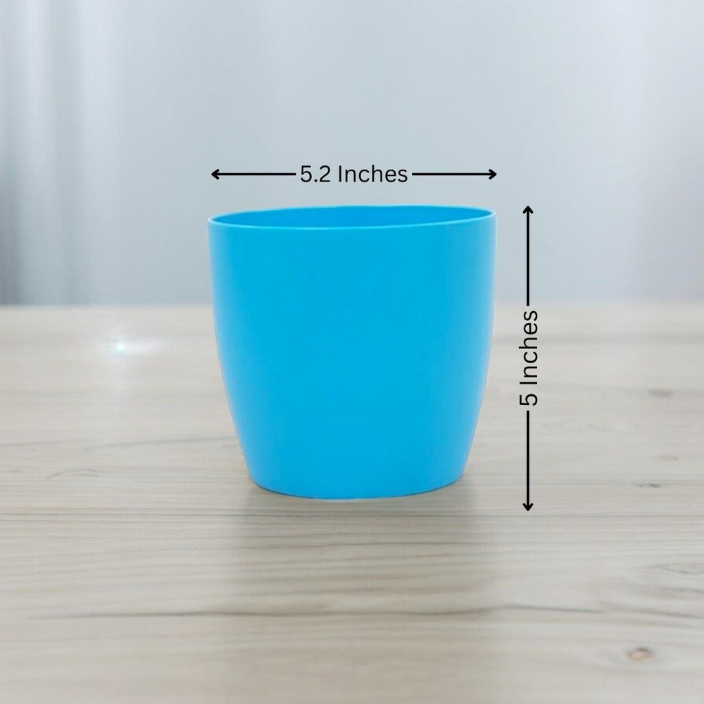 Where to buy planters in Bangalore