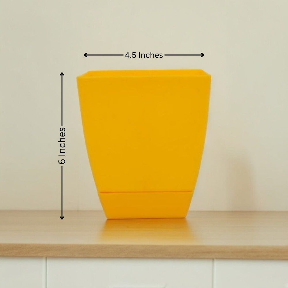 Outdoor planters Bangalore