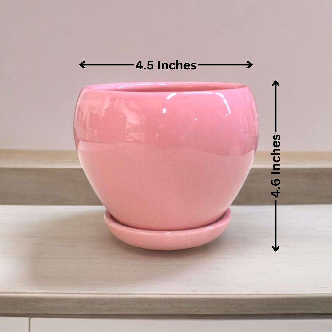  Affordable planters Bangalore