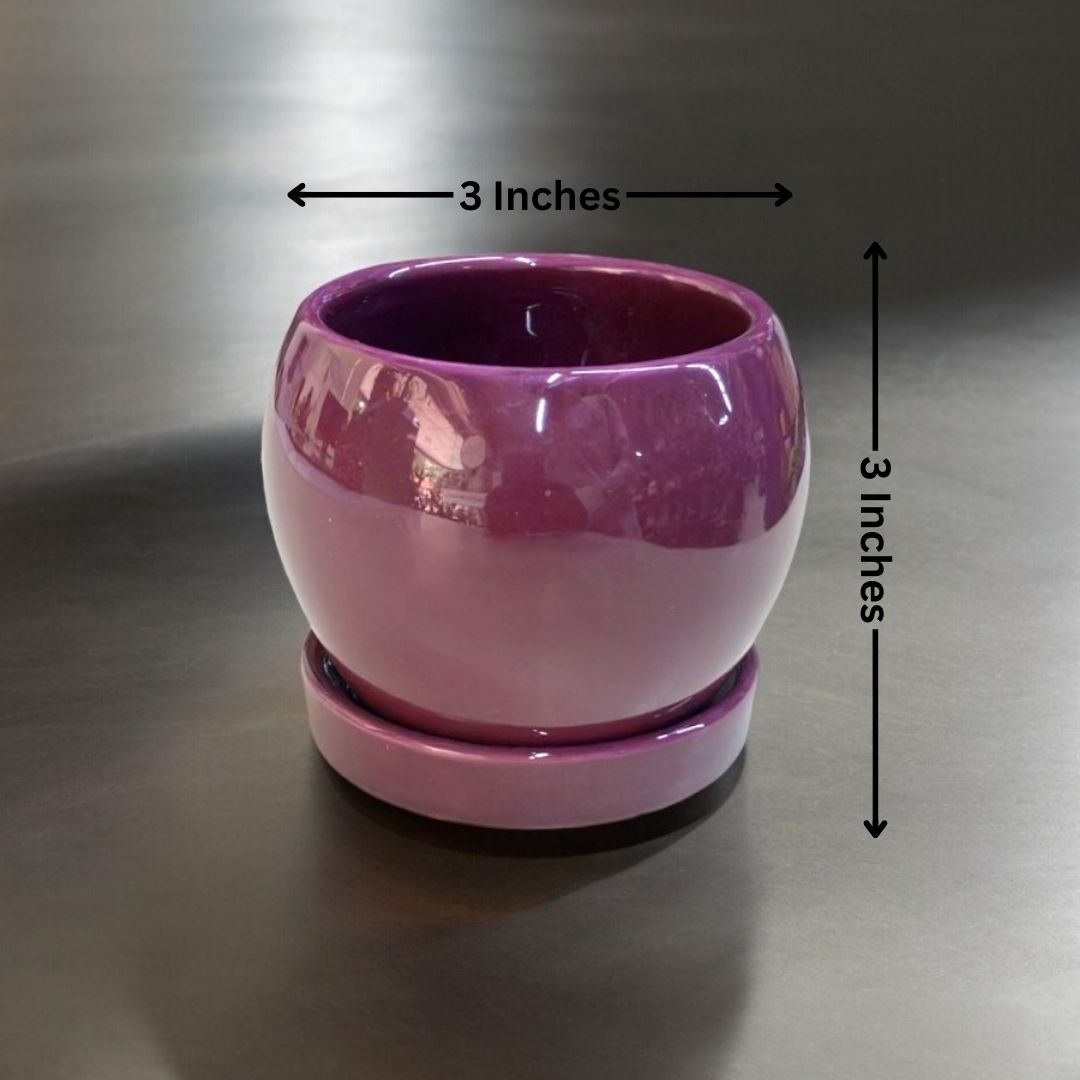 Designer planters Bangalore