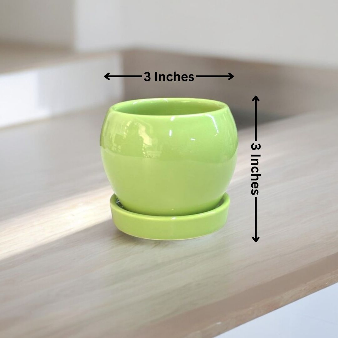 Affordable planters Bangalore