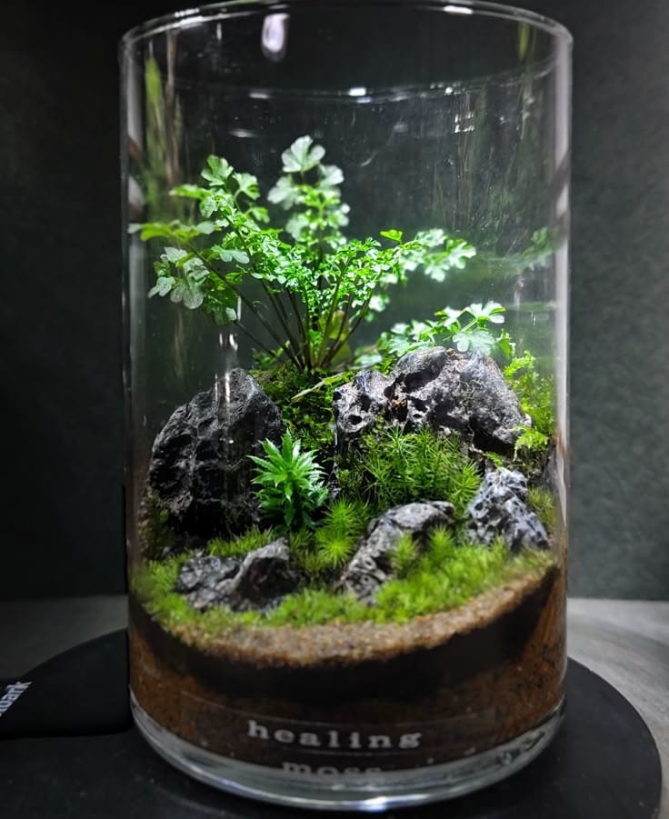 Terrarium inspiration