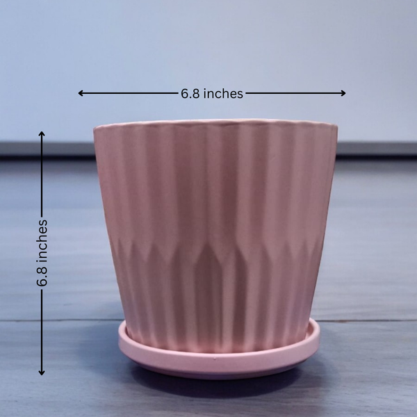 Round designer ceramic pot with matching tray, glossy decorative empty planter