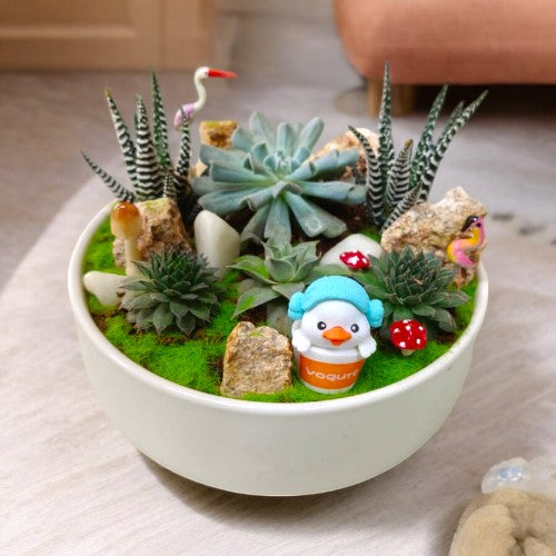 Round shape Ceramic  Designer planter with succulents and miniatures Near Bangalore 