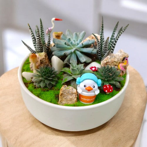 Round shape Ceramic  Designer planter with succulents and miniatures In Bangalore 