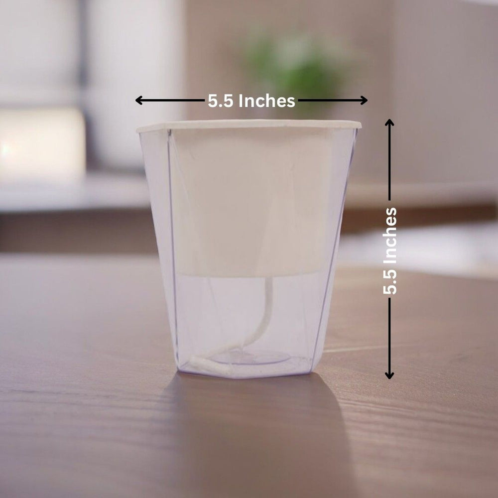 Affordable planters Bangalore