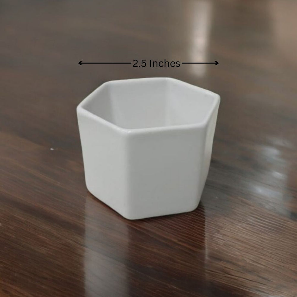 Designer planters Bangalore