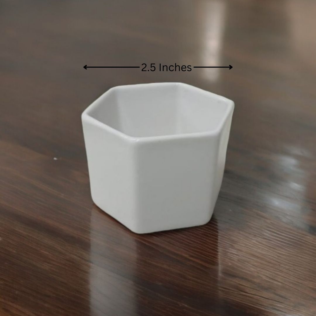 Designer planters Bangalore