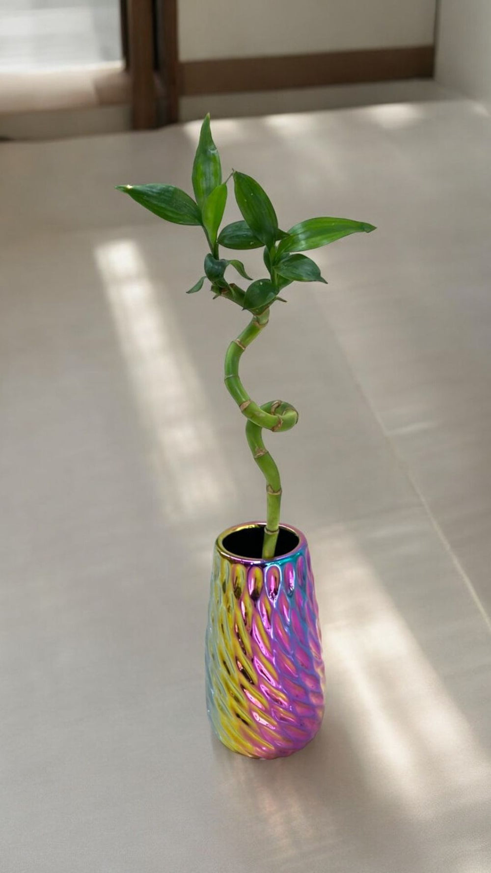 spiral bamboo sticks In Bangalore 