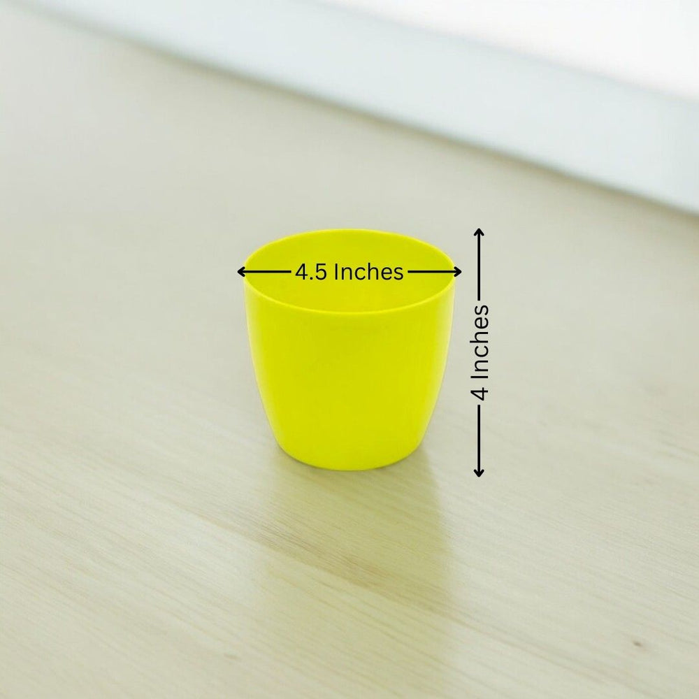 Where to buy planters in Bangalore