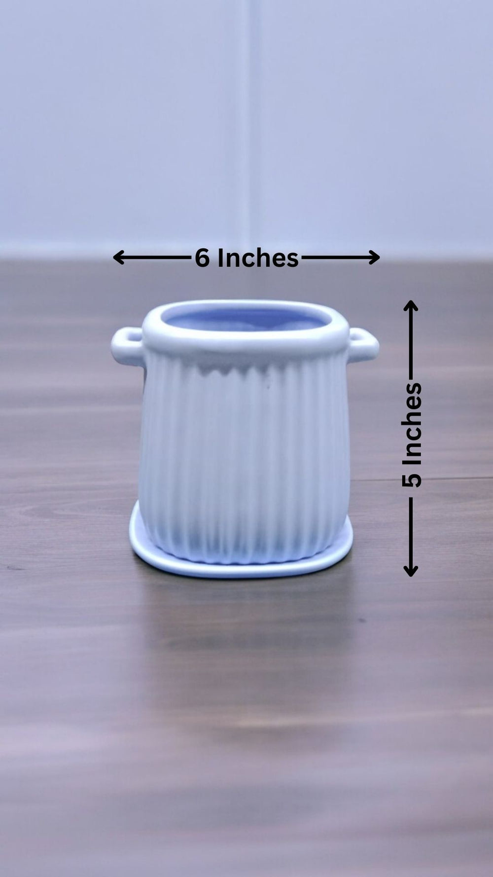 Modern planters Bangalore